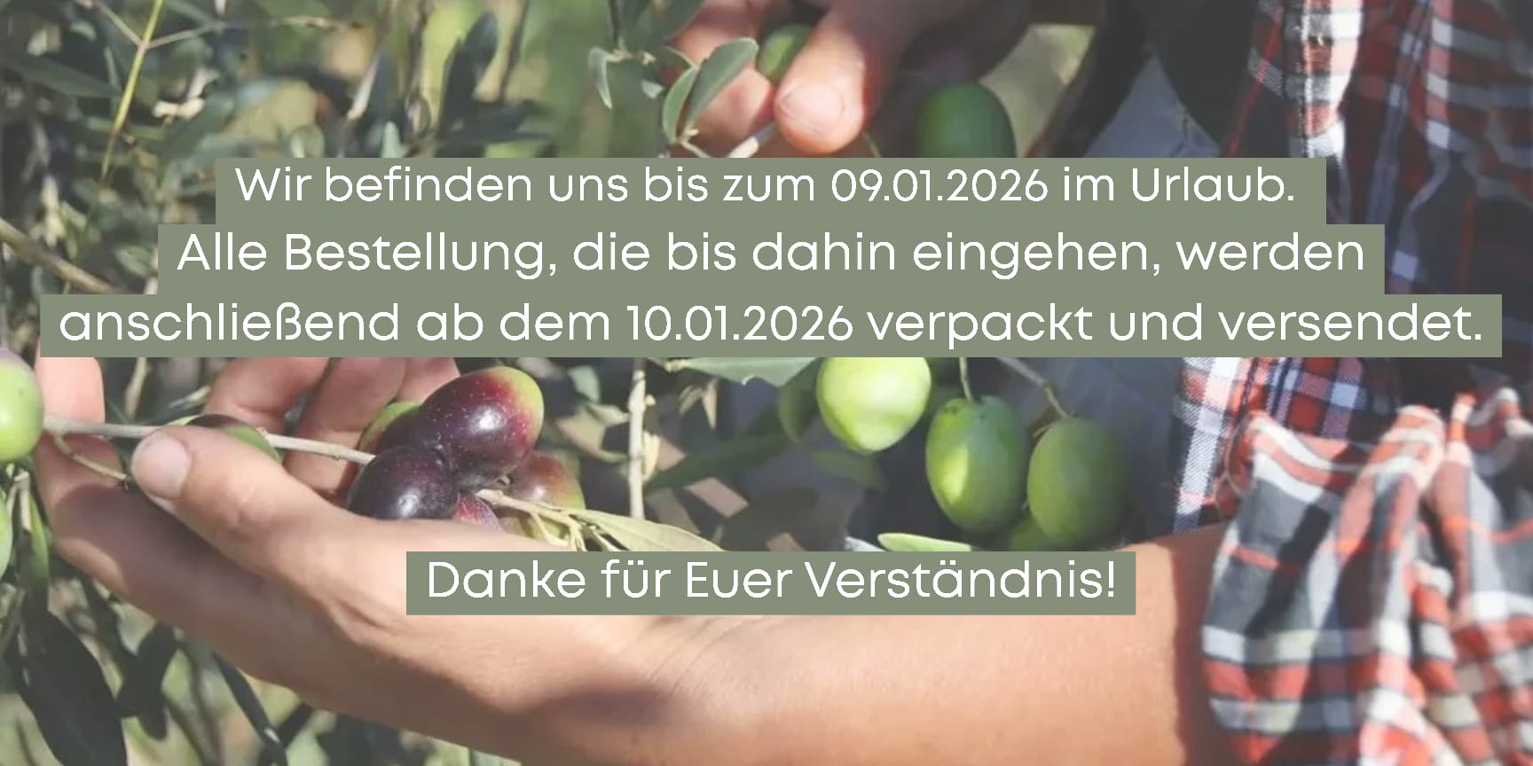 Weihnachten Olivenöl Header